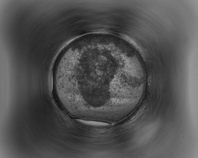 X0000092241323200710121229