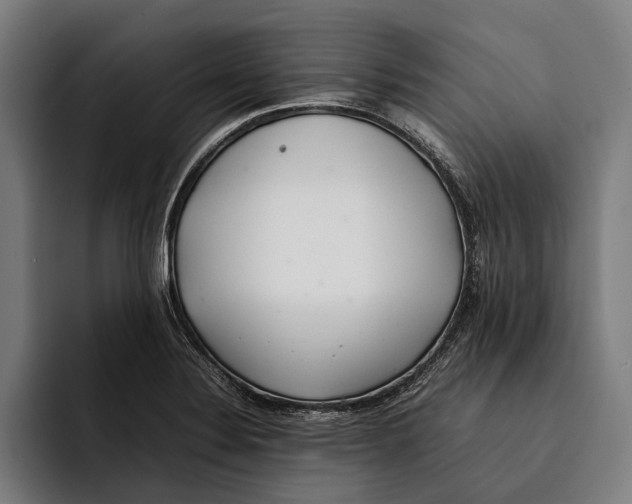 X0000092241324200710121229