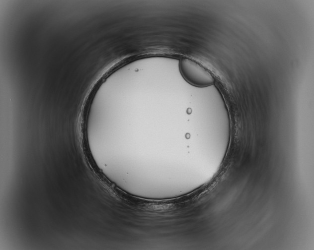 X0000092241325200710121229