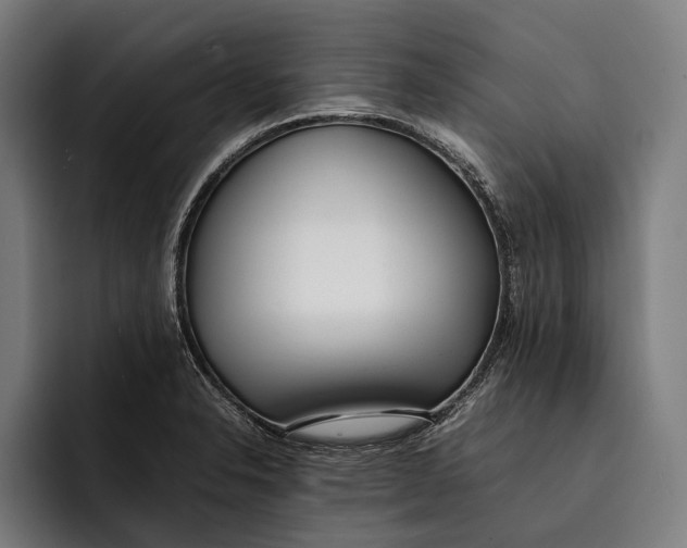 X0000092241326200710121229