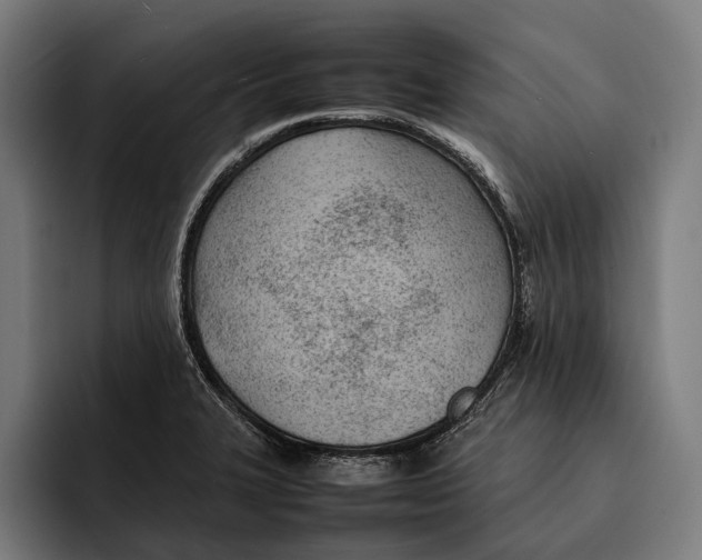 X0000092241327200710121229