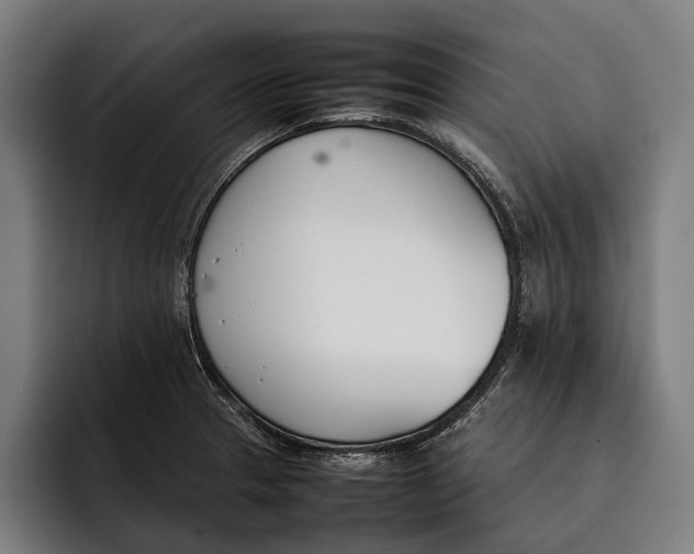 X0000092241329200710121230