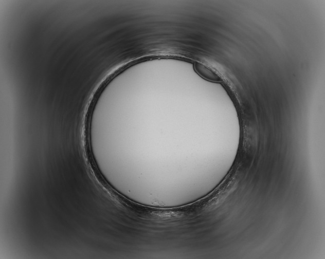 X0000092241331200710121230