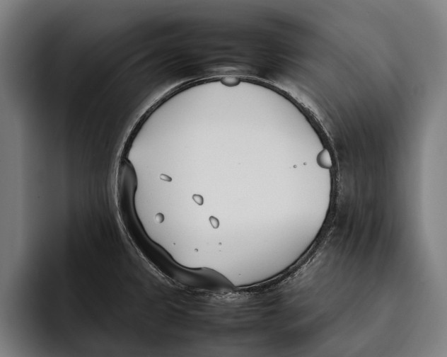 X0000092241333200710121230