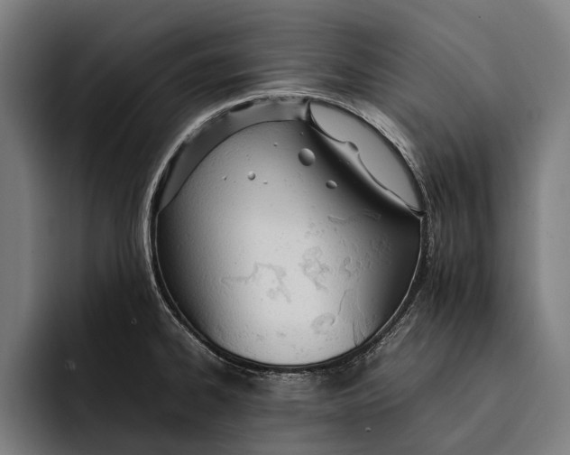 X0000092241334200710121230