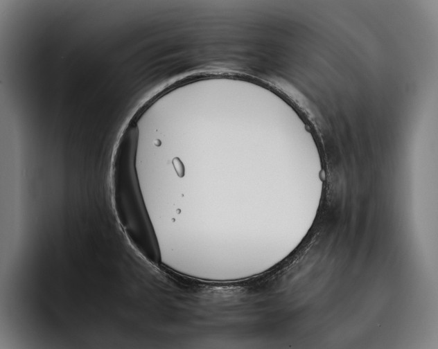 X0000092241335200710121230