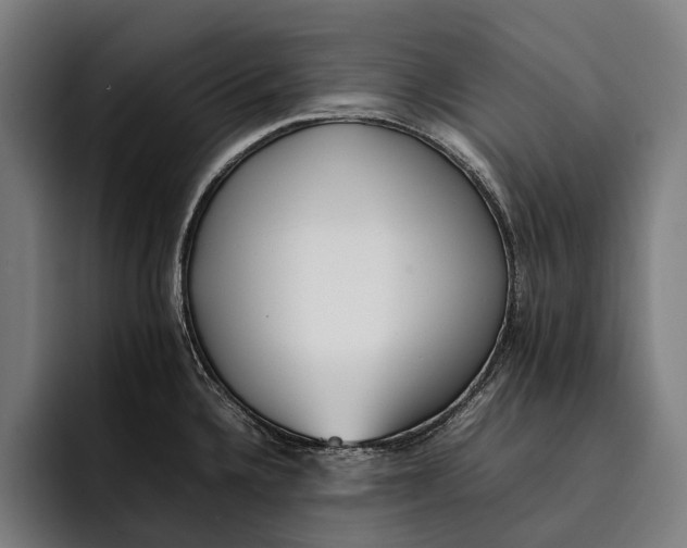 X0000092241336200710121230