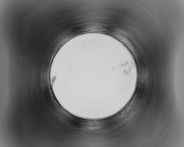 X0000092241338200710121230