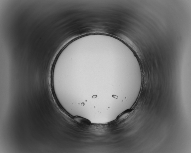 X0000092241339200710121230