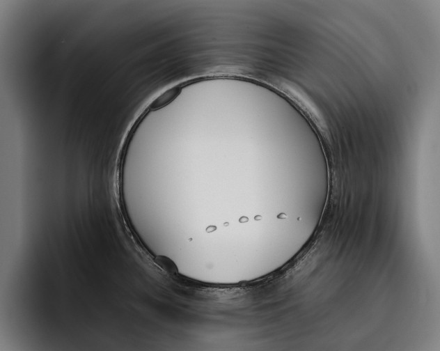 X0000092241340200710121230