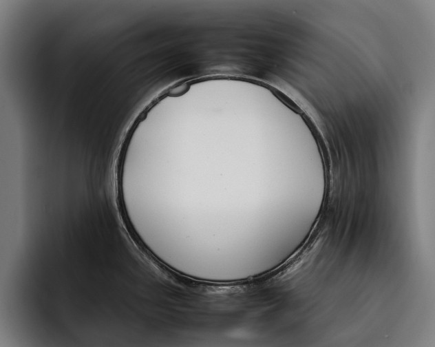 X0000092241341200710121230