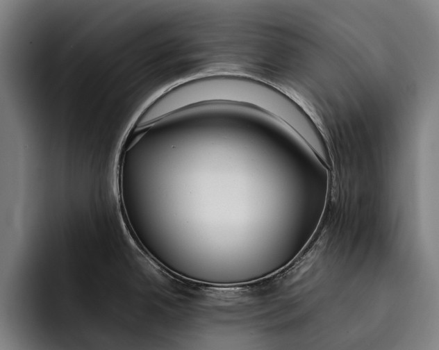 X0000092241342200710121230
