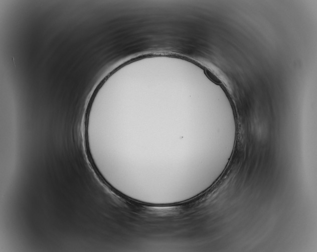 X0000092241343200710121230