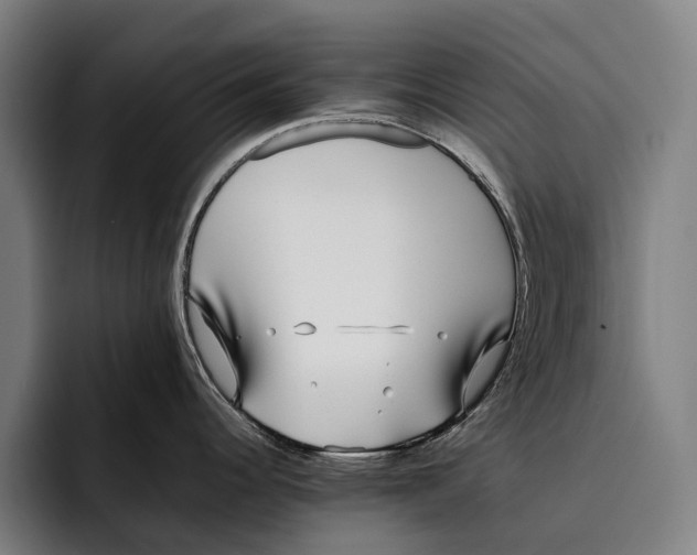 X0000092241344200710121230