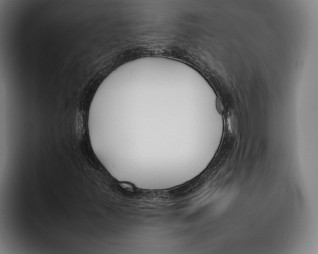 X0000092241347200710121229