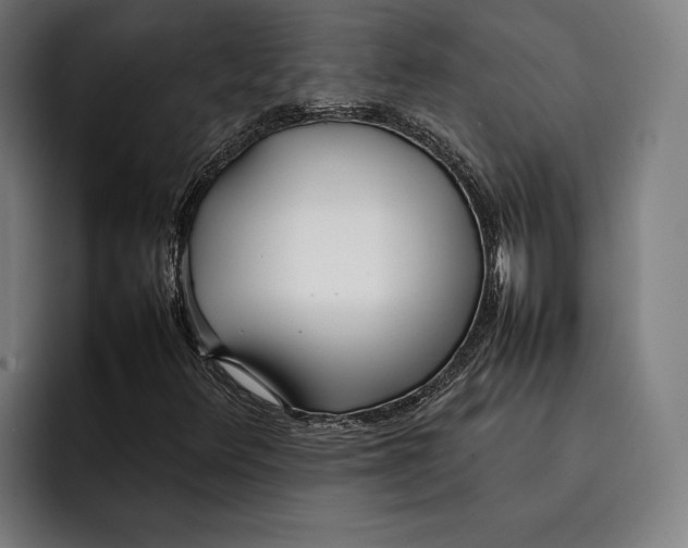 X0000092241348200710121229