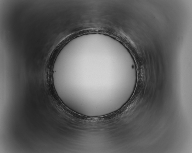 X0000092241352200710121229