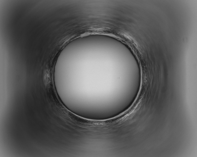 X0000092241353200710121229