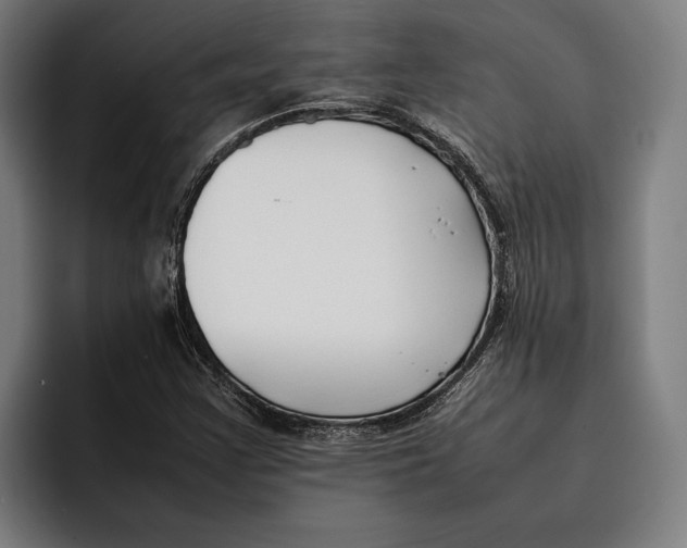 X0000092241355200710121229
