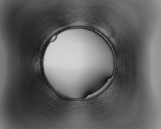 X0000092241356200710121229