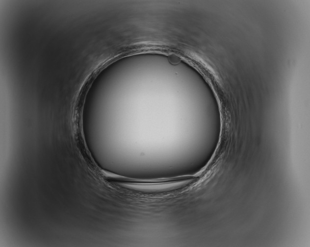 X0000092241357200710121229
