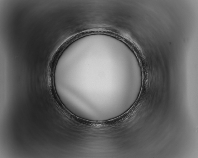 X0000092241360200710121229