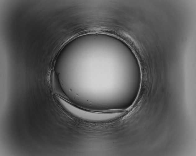 X0000092241361200710121229