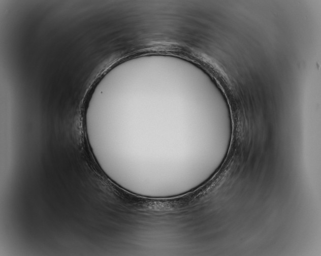 X0000092241362200710121229