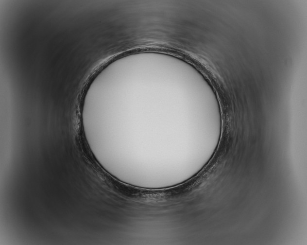 X0000092241363200710121229