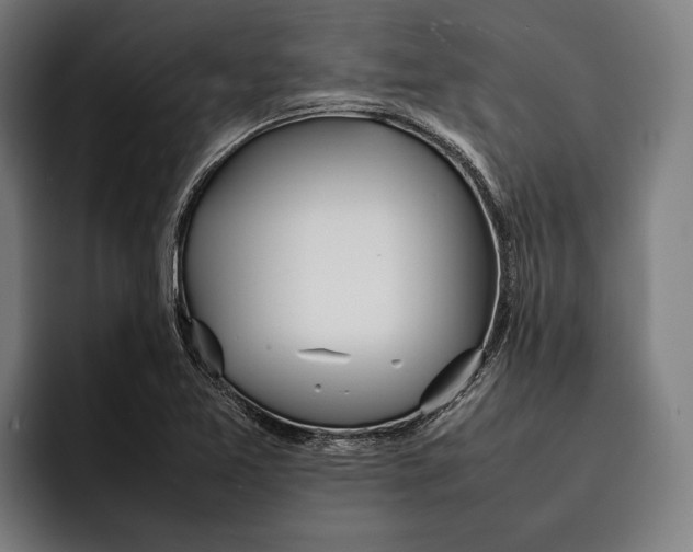 X0000092241365200710121229