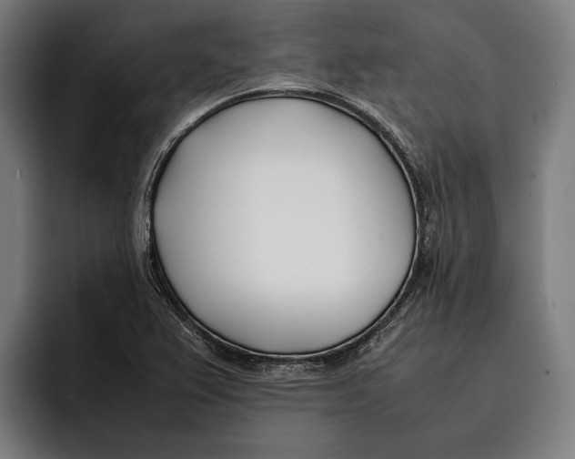 X0000092241367200710121229