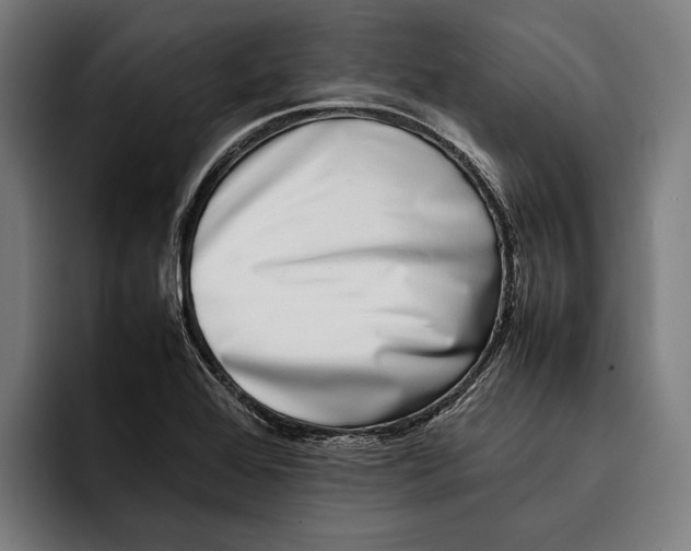 X0000092241368200710121229
