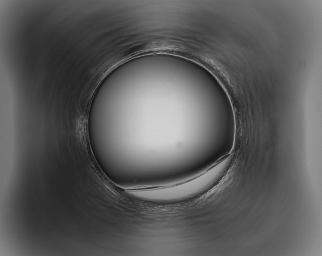 X0000092241369200710121229
