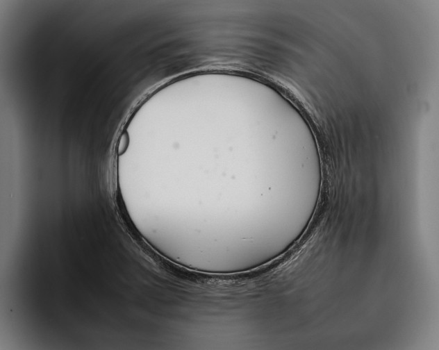 X0000092241371200710121229