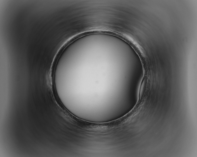 X0000092241372200710121229