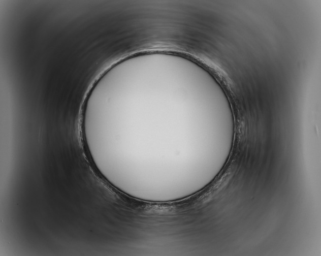 X0000092241374200710121229