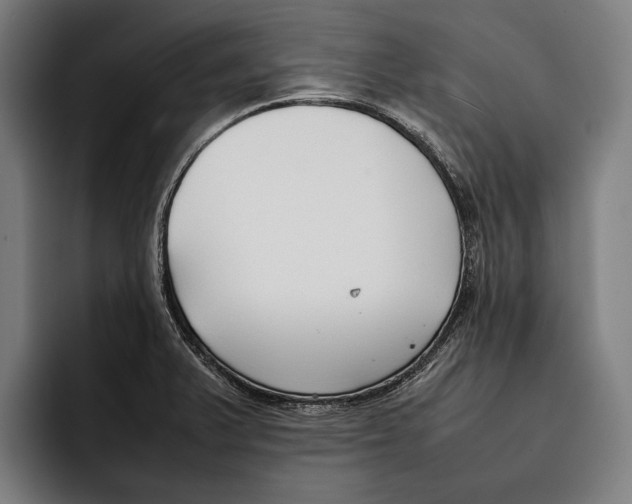 X0000092241375200710121229