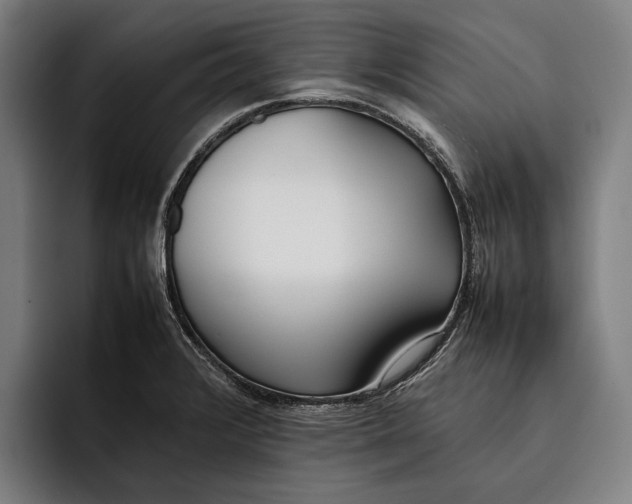 X0000092241376200710121229