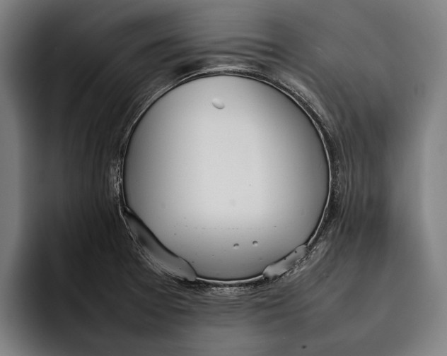 X0000092241377200710121229