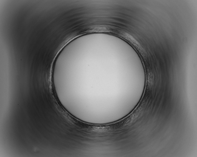 X0000092241378200710121229