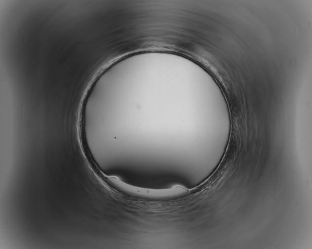 X0000092241379200710121229