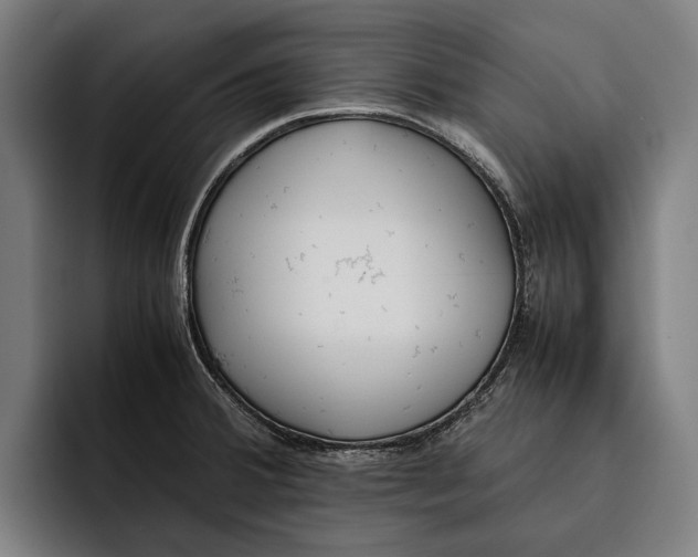 X0000092241380200710121229