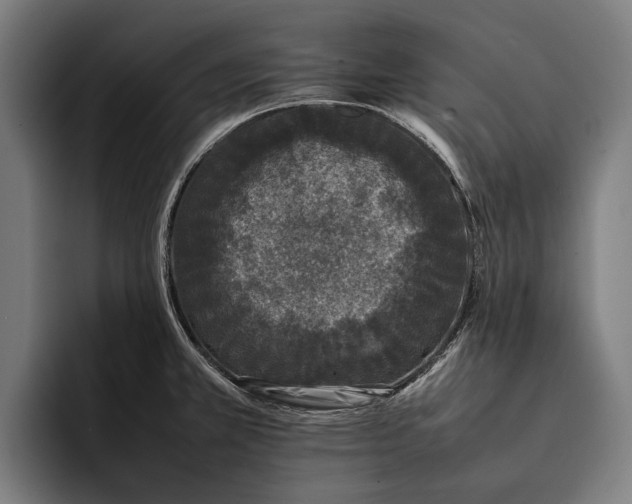 X0000092241381200710121229
