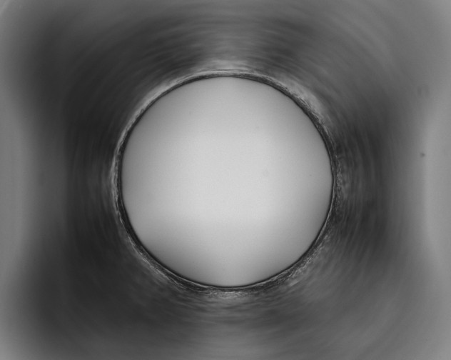 X0000092241382200710121229