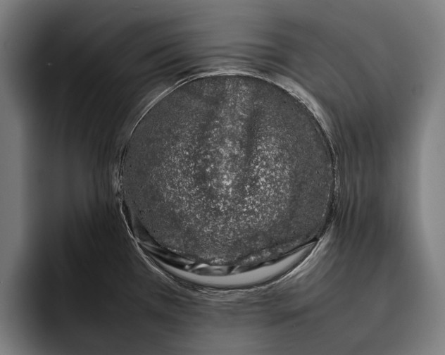 X0000092241385200710121229