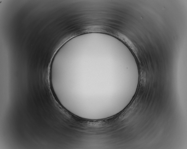 X0000092241386200710121229