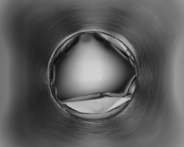 X0000092241388200710121229