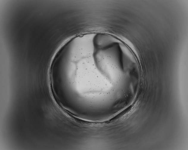 X0000092241389200710121229
