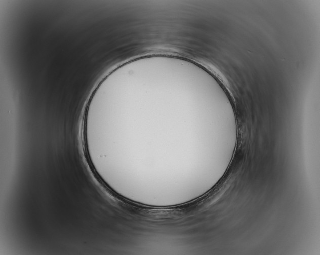 X0000092241391200710121229