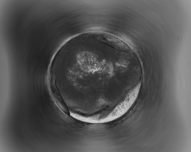X0000092241392200710121229